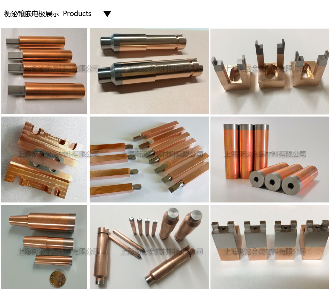 鑲嵌電極產品格.jpg